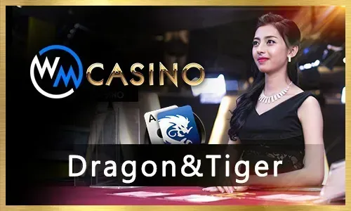 Bingoplus Live Casino